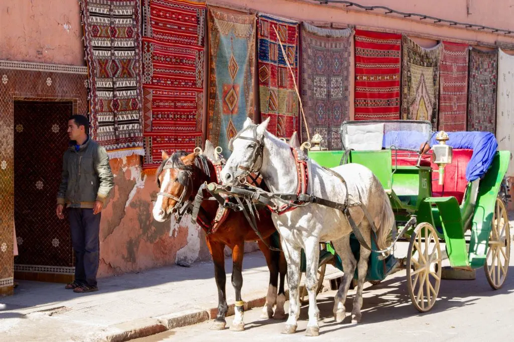 A cart pulled by two horses is stopped in front of a Marrakesh rug shop, which has several rugs displayed on the wall.