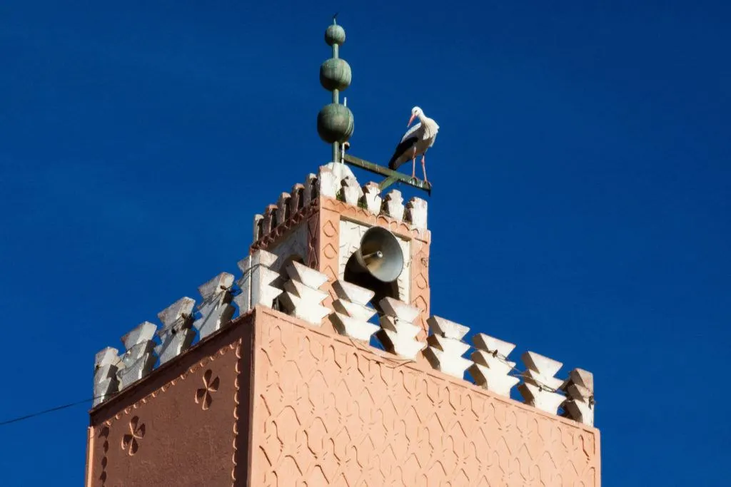 A stork standing on the top of the Minaret at the Koutoubia Mosque in Marrakech.