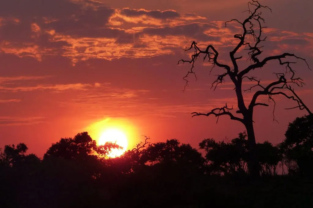A gorgeous flame-red sunrise in Chobe National Park.