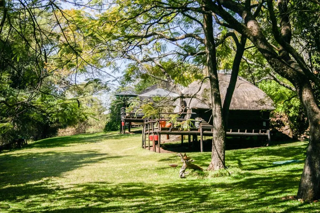 Typical Chobe National Park accommodation, thatched cottages.