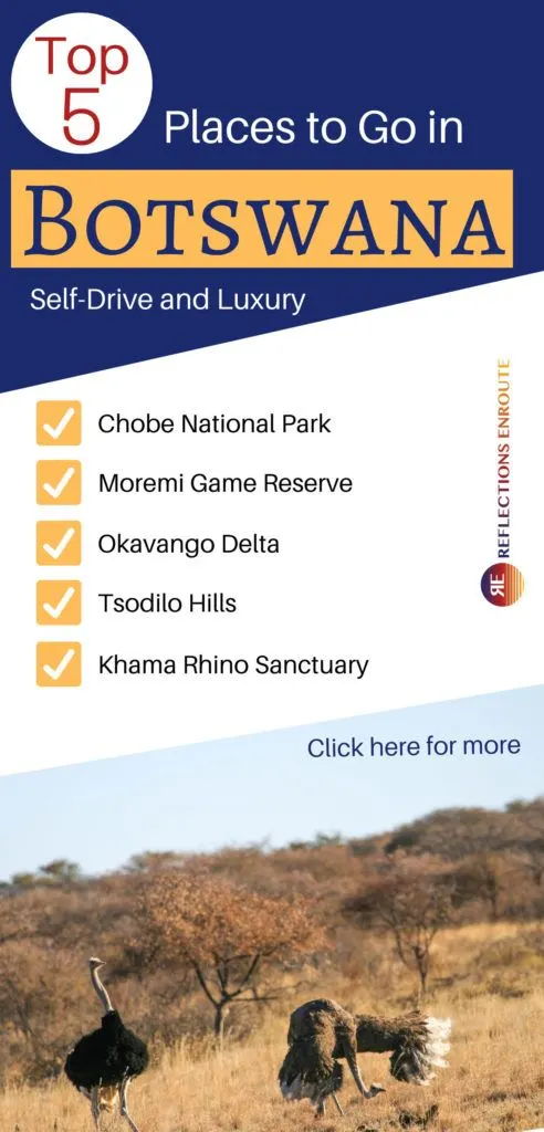 Top 5 Places to Go in Botswana - mating ostriches.