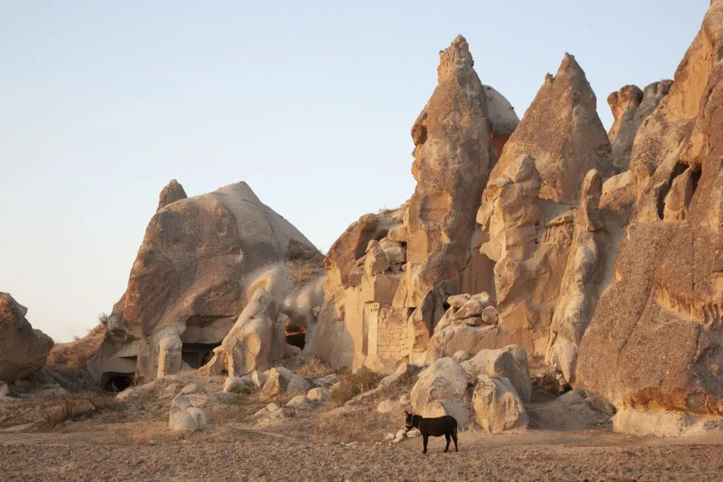 A lone donkey stands outside a home carved into a cluster of cone-shaped volcanic towers in the Cappadocia area.
