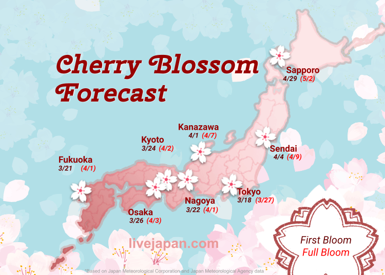 Cherry Blossom Forecast 2024.