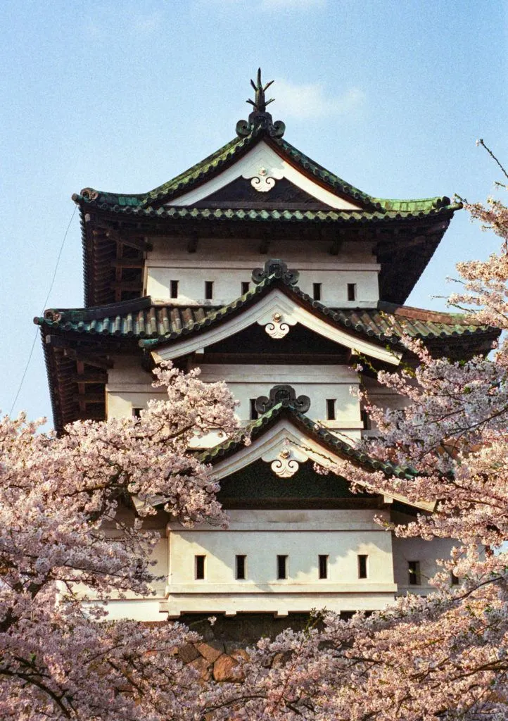 Hirosaki Castle cloaked in pink petals makes it one of the best places to see cherry blossoms in Japan.