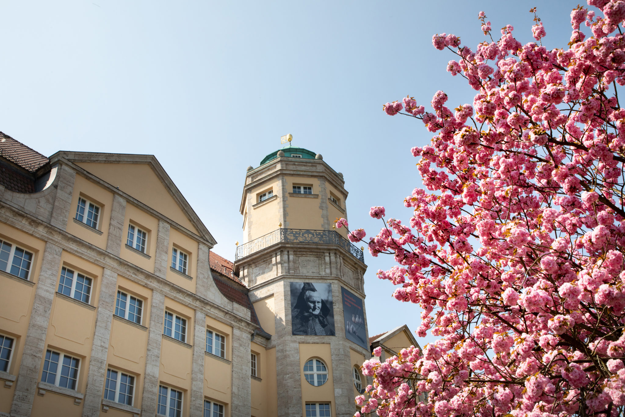 best german cities to visit in spring