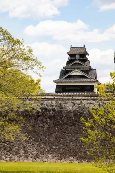 Lime green, new leaves frame this Japanese castle during early spring.