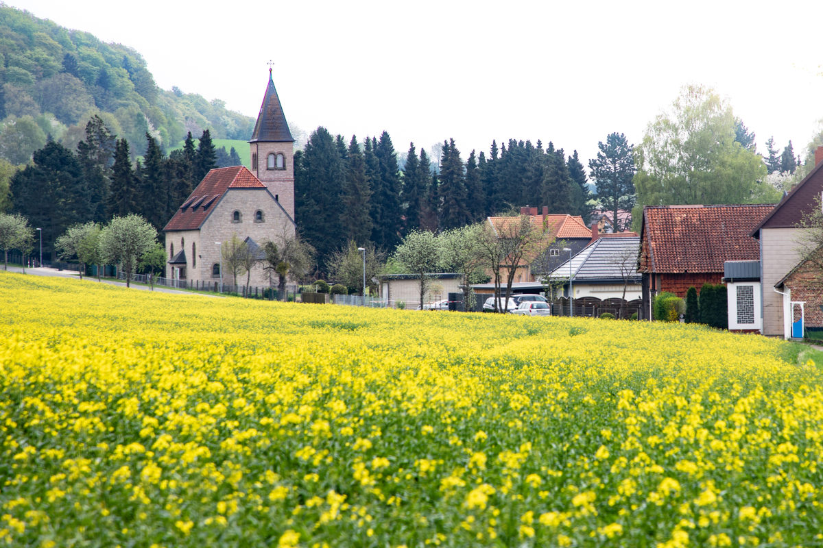 best german cities to visit in spring