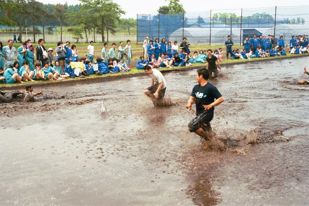 School boys racing in the flooded rice paddy.