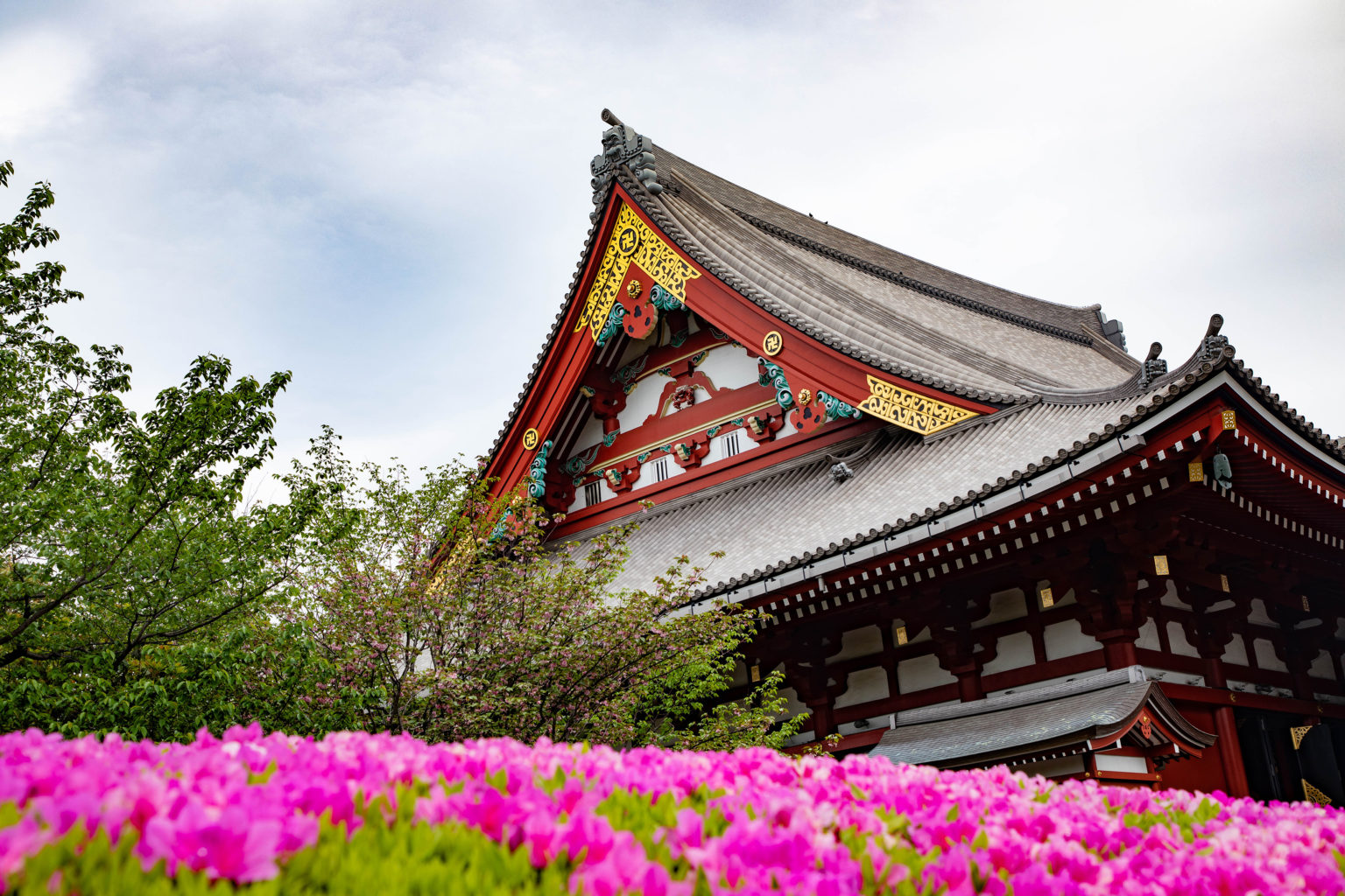 Best Places to Visit in Japan in Spring [Start Planning]