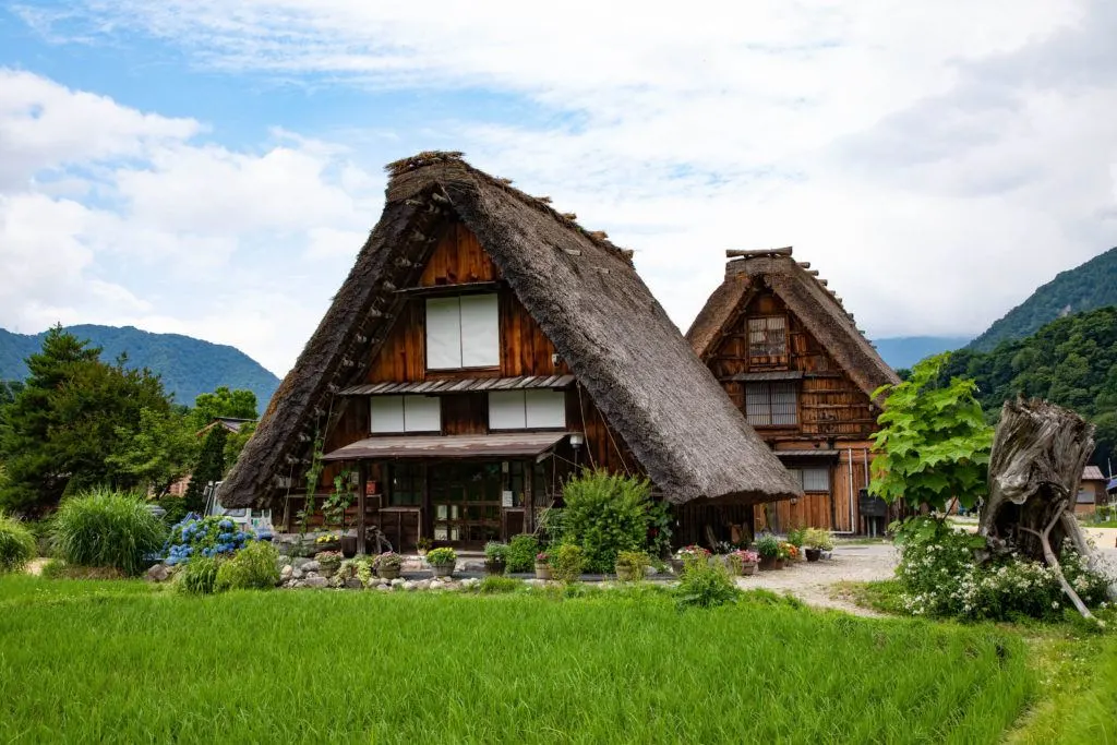 The world heritage village of Ogimachi has many thatched roofed homes to tour.