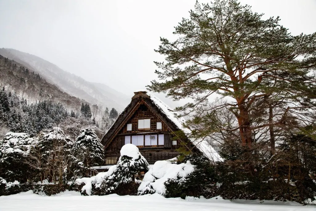 A charming winter scene with the traditional thatched roof house.
