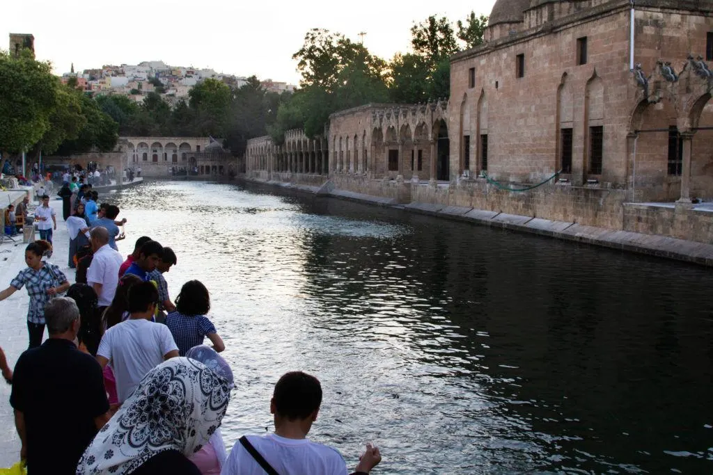 The history of Sanliurfa will tell you that this is reputed to be Abraham's pond.