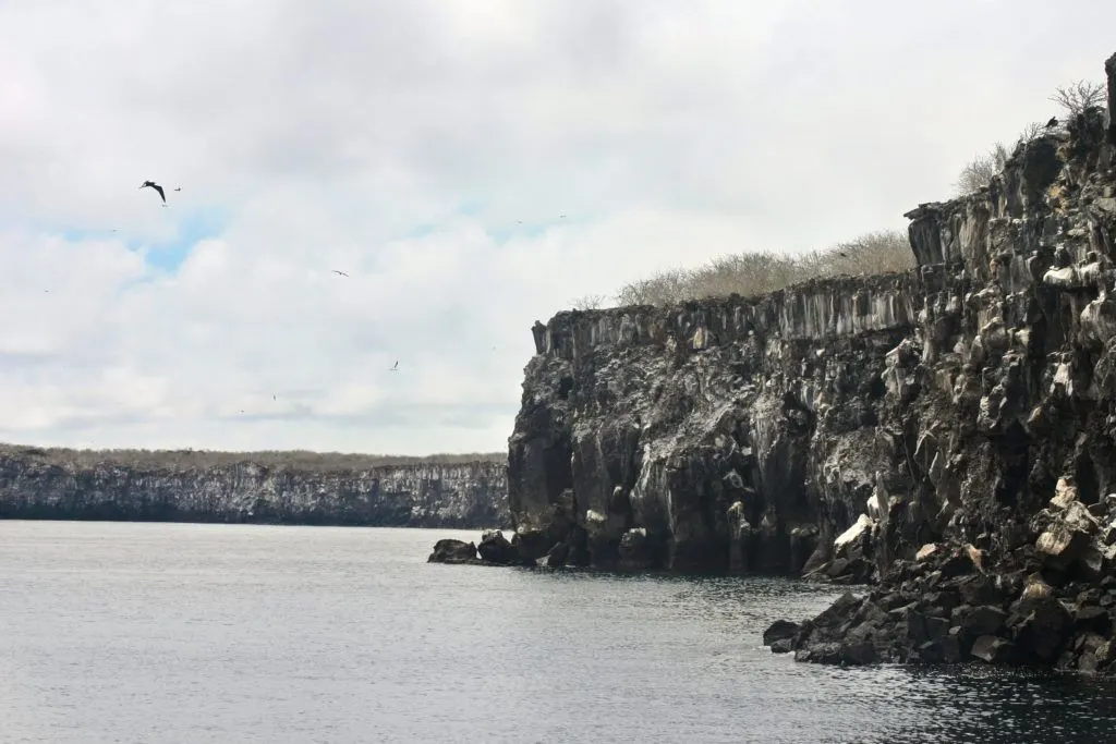 Volcanic cliffs in the Galapagos Islands.