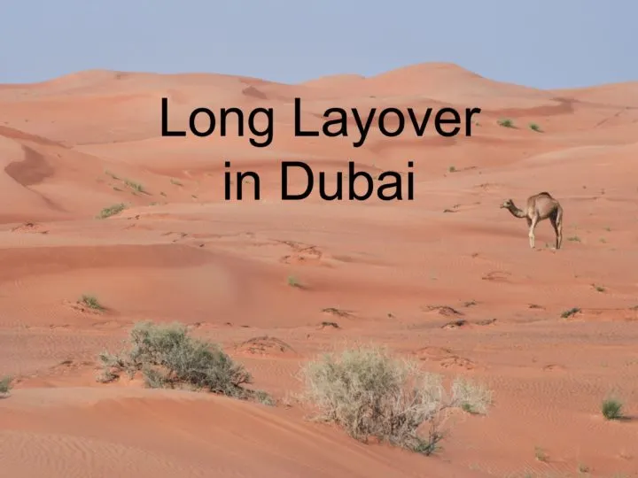 Long layover in Dubai.