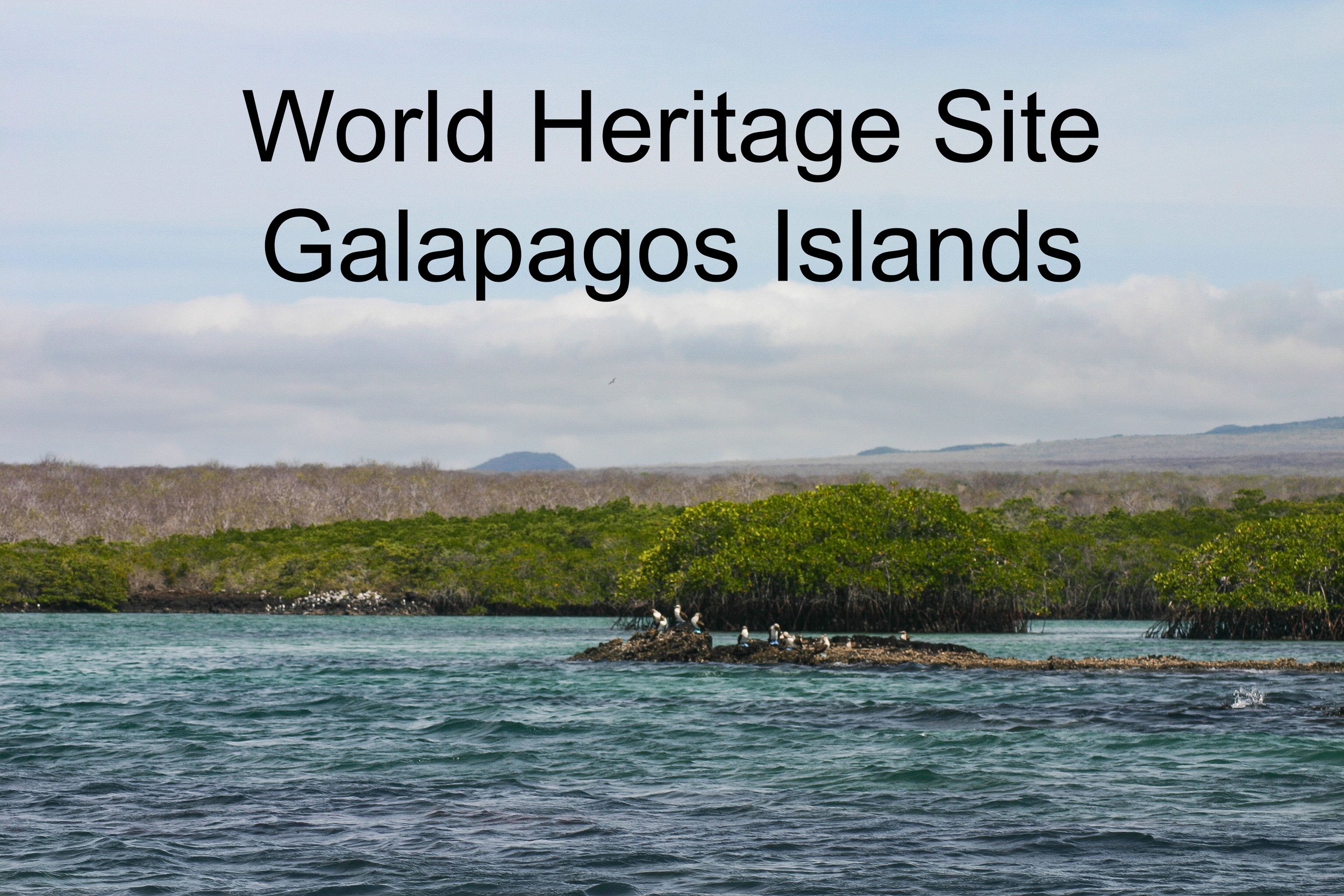 World Heritage Site Galapagos Islands.