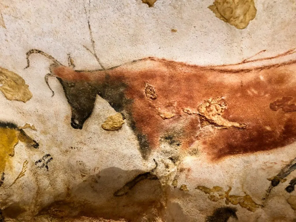 A cow in a Vezere cave, France.