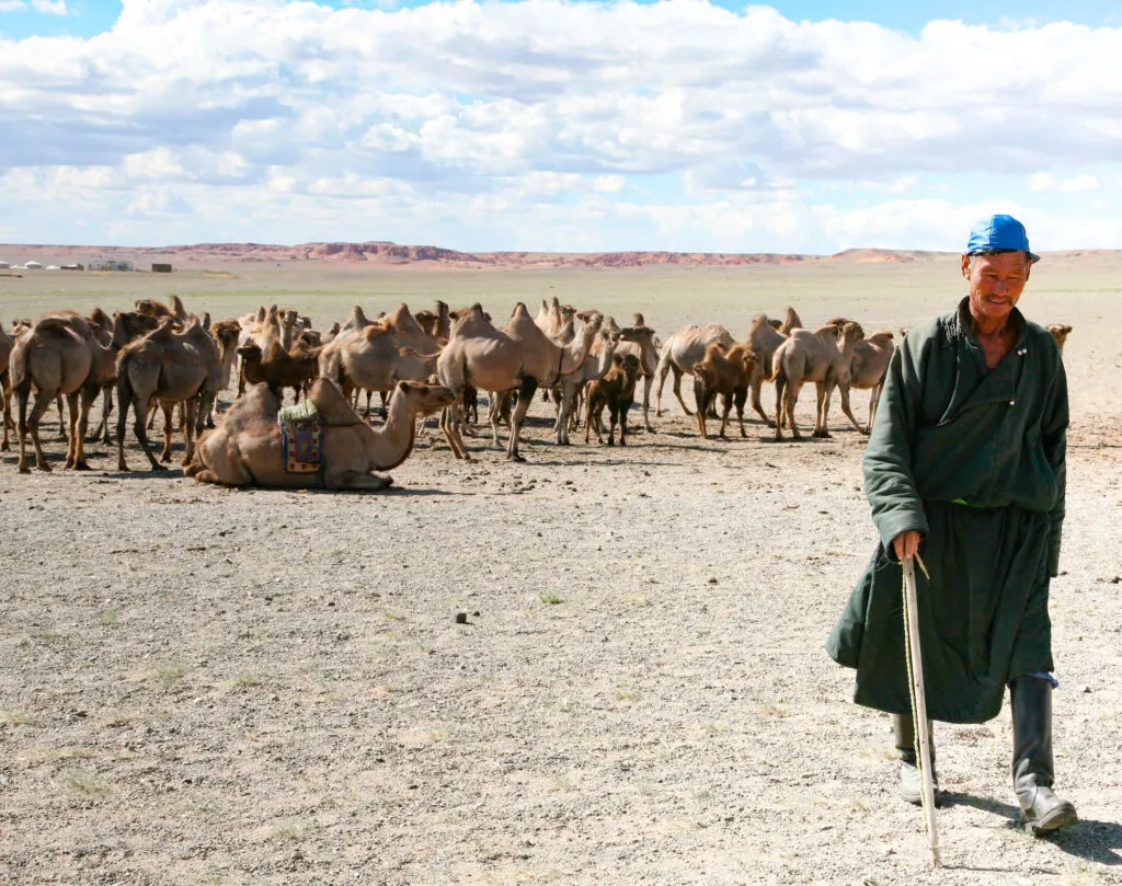 A camel herder on the steppes of Mongolia comes to greet us.