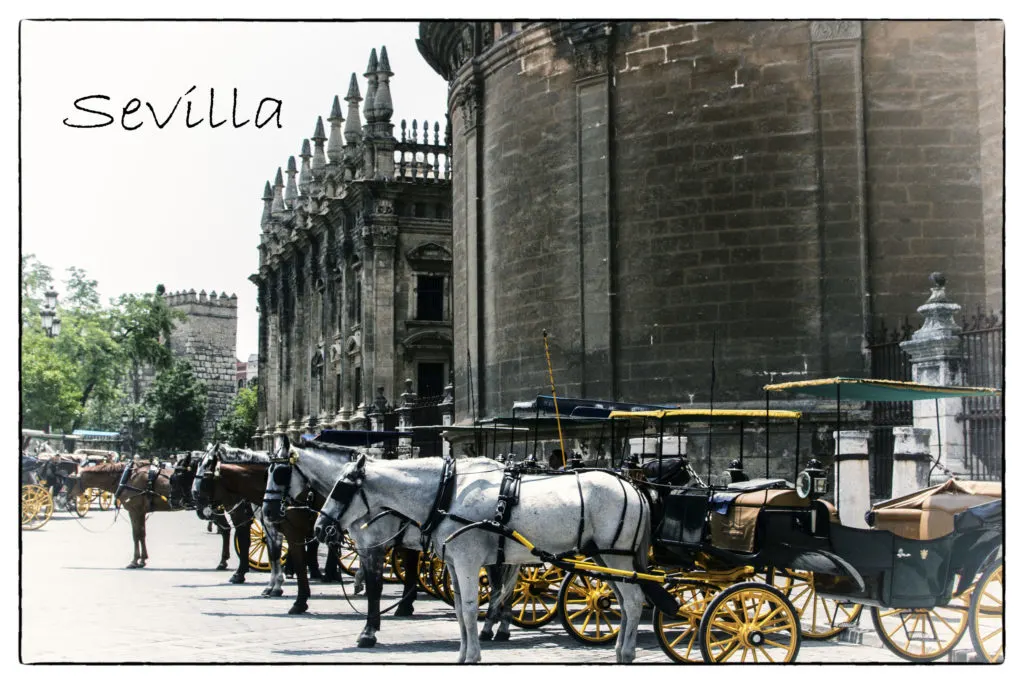 Sevilla hosts a number of world heritage sites in Southern Spain, like the Cathedral and Alcazar.