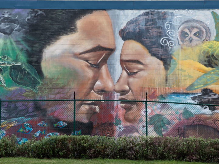 A mural found in Oahu, Hawaii.