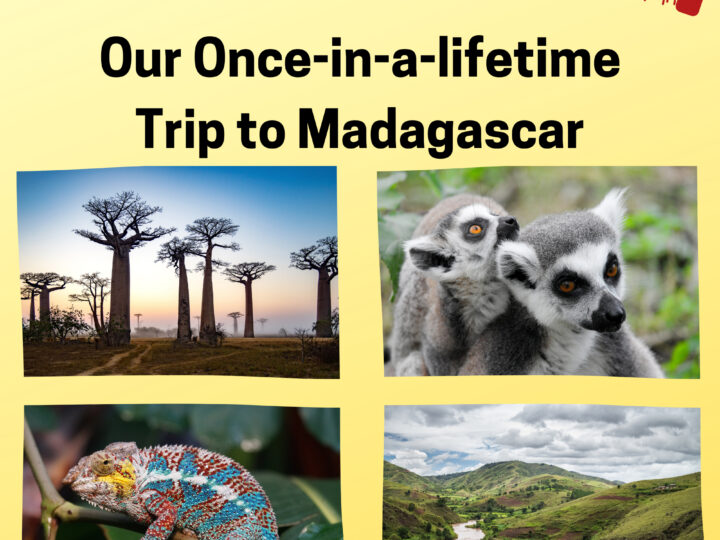 Our once-in-a-lifetime trip to Madagascar.