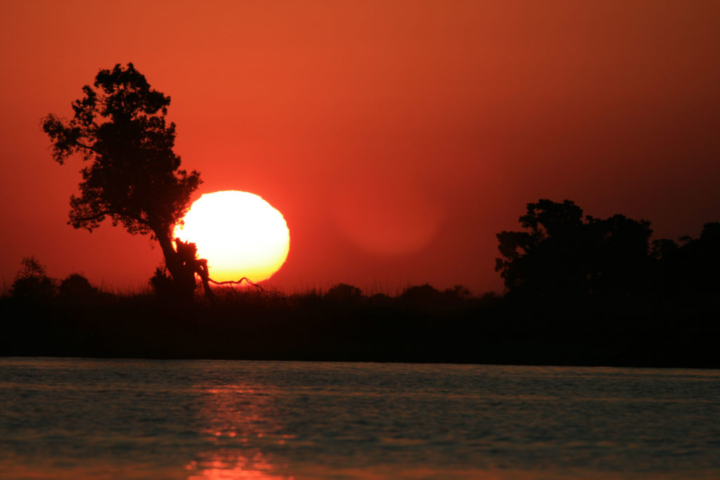An African safari sunset.