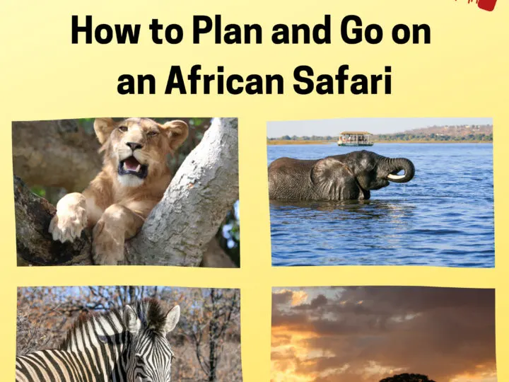 How to plan and go on an African Safari.