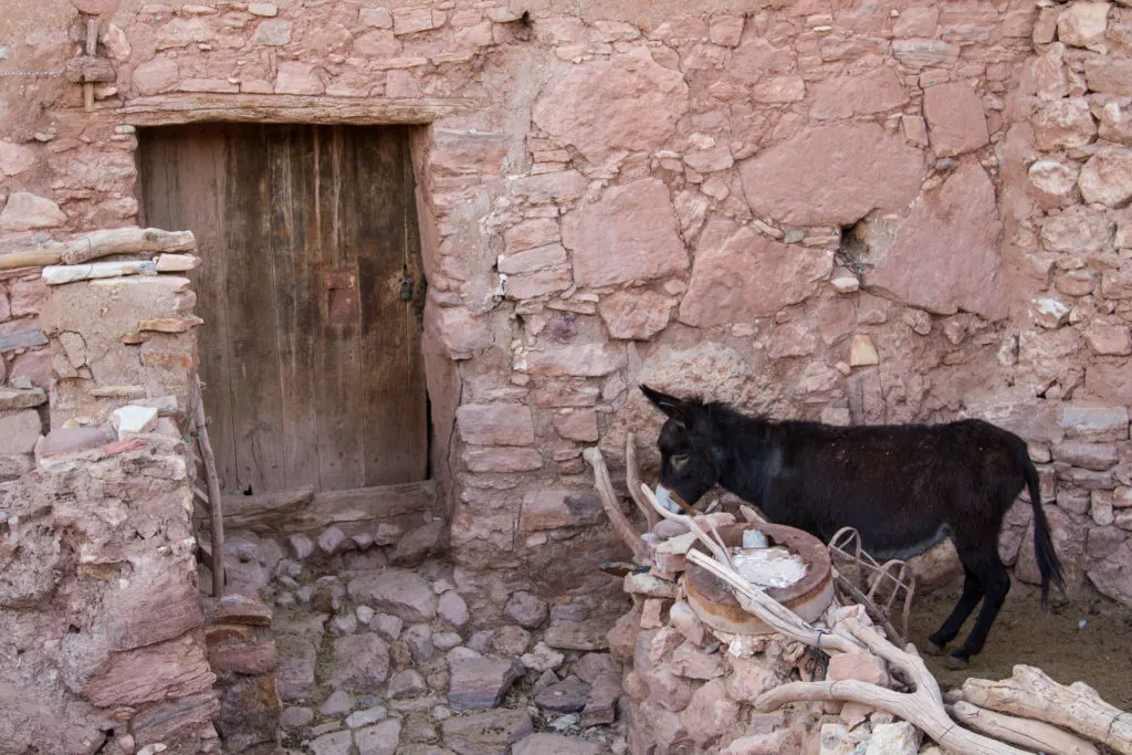 A donkey is tethered outside a house in the Ksar Ait Benhaddou.