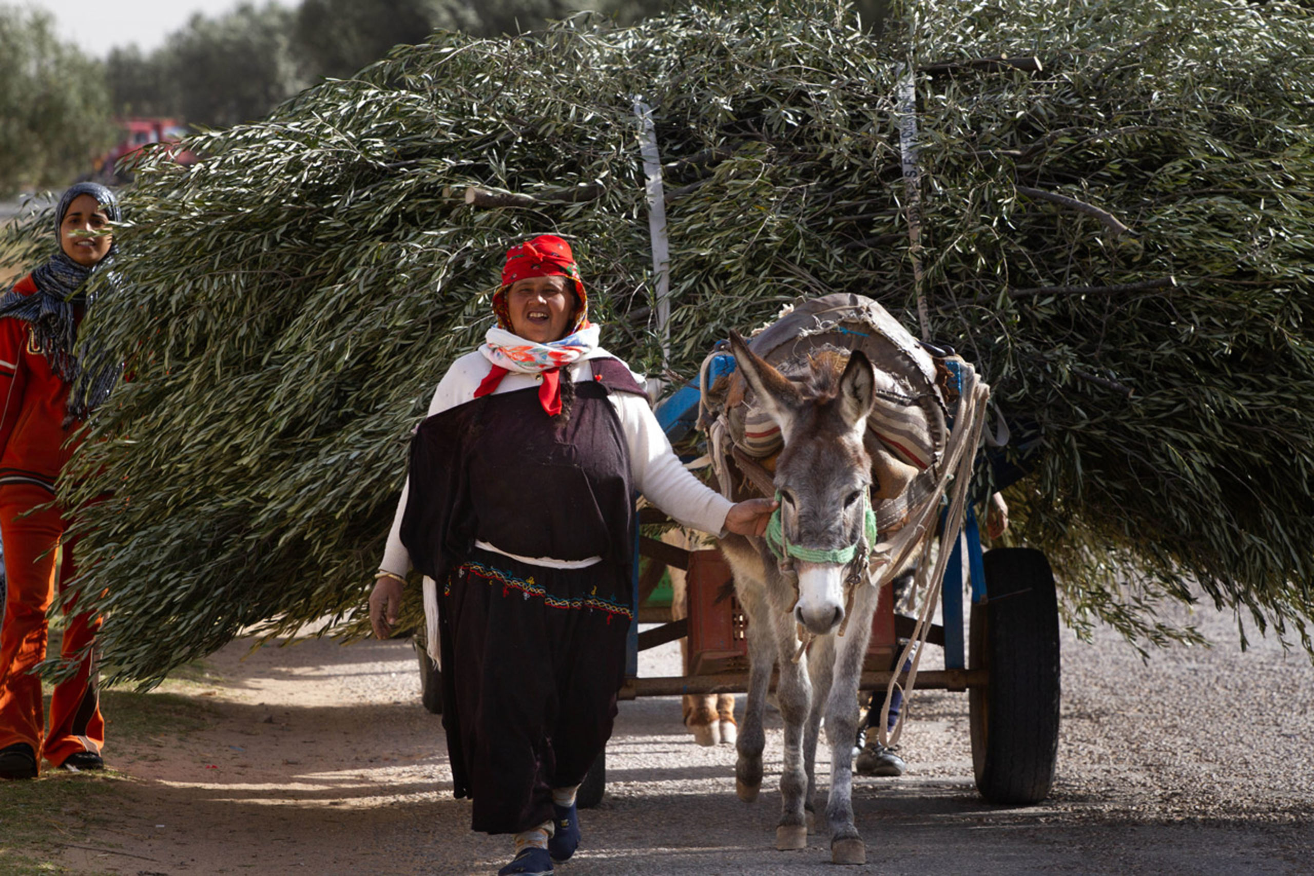 Tunisia Trip - A woman leads her donkey and produce along the road.