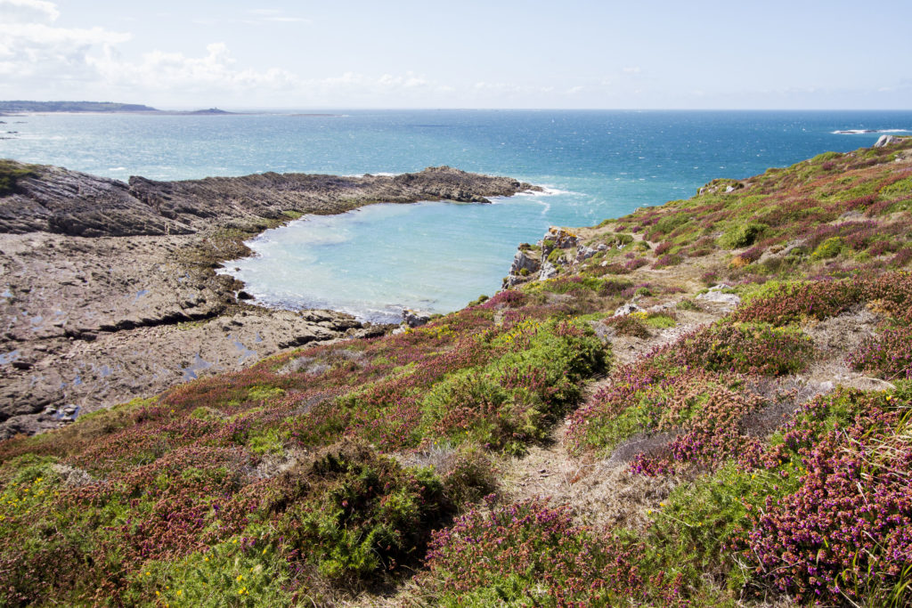 Walking along the paths, the views are stunning with flowers, rocks, and turquoise waters.