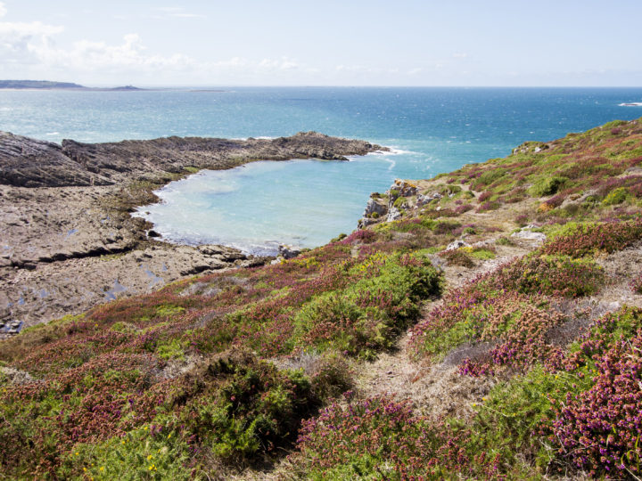 Walking along the paths, the views are stunning with flowers, rocks, and turquoise waters.