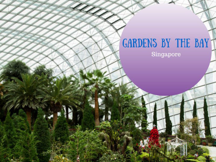 Gardens By the Bay, Singpore.
