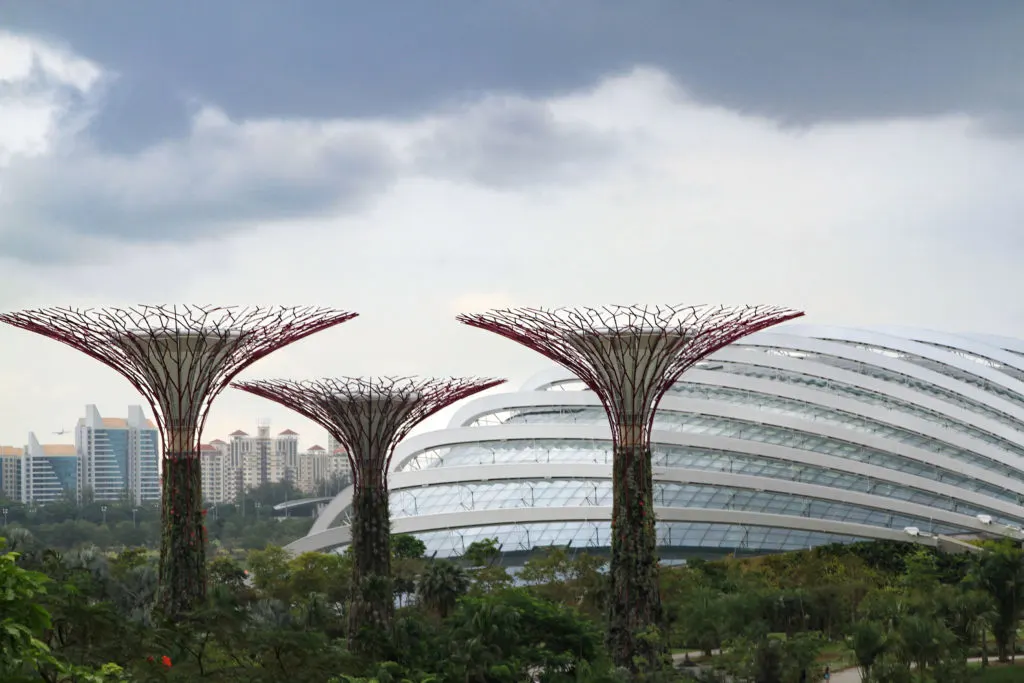 A view of the Gardens of the Bay Supertrees and bio-dome.
