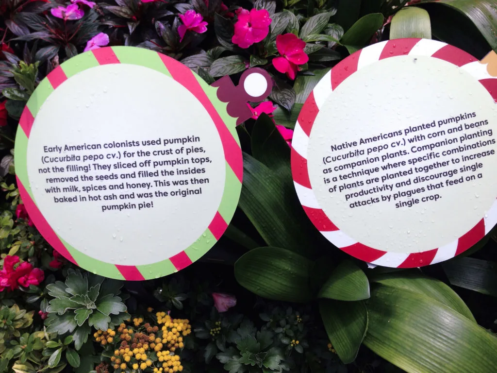 Placards are everywhere in the Gardens of the Bay; it's so educational.