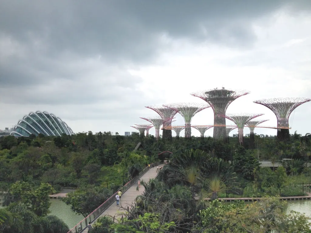 The walking path to the Gardens of the Bay Supertrees.