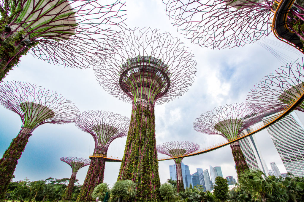 A view of the Gardens by the Bay Supertrees and Sky Bridge.