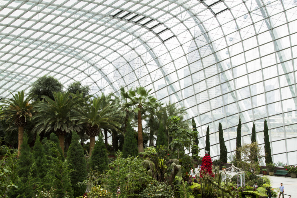 Inside a bio-dome in Gardens of the Bay, Singapore.