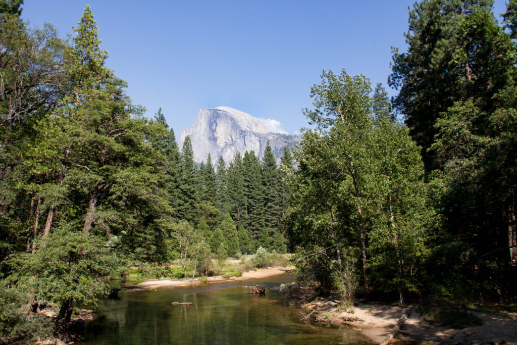 View of Half Dome from the river.