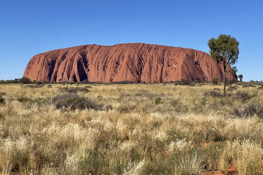 Uluru, a massive red rock formation rising out of a grassy plain in Australia’s Uluru-Kata Tjuta National Park.