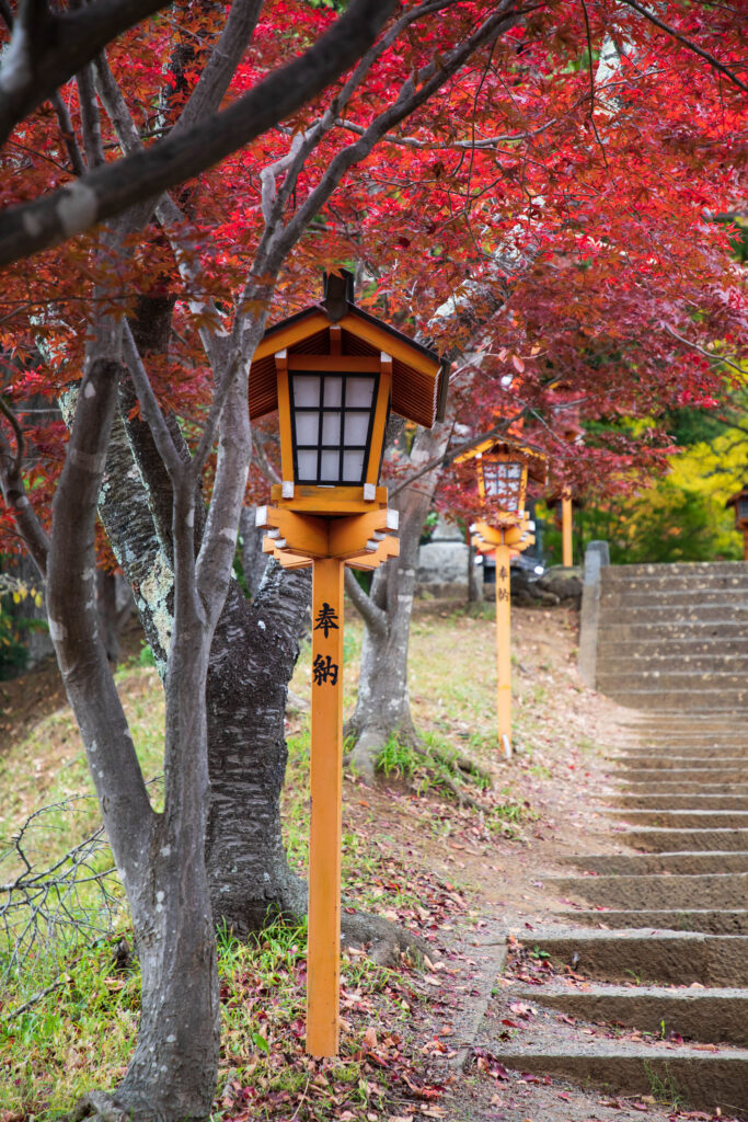 The maple leaves line the path at Chureito Pagoda.