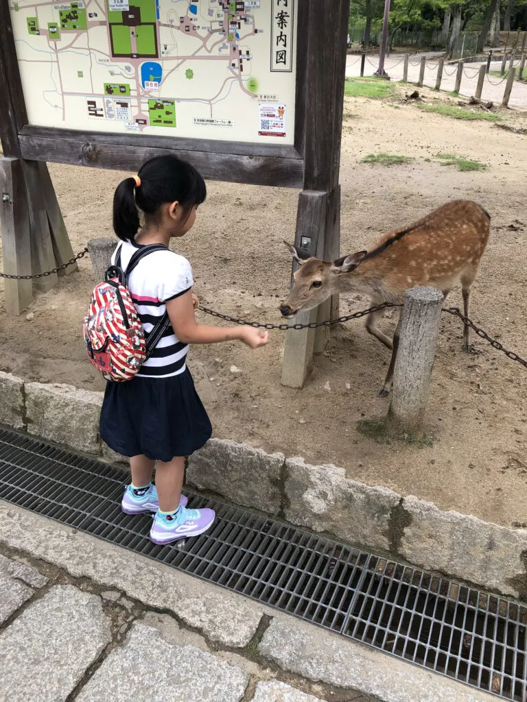 Animals are always a hit when you travel with kids. Let them feed the deer in Nara.