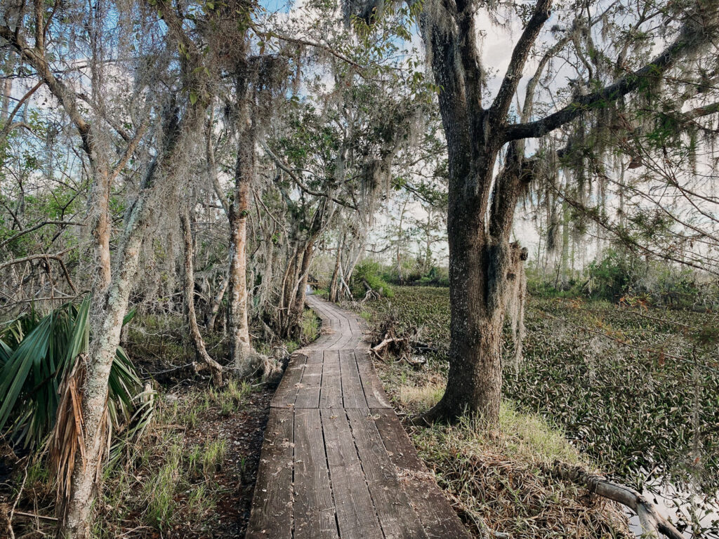 Walking a train in the Jean Lafitte National Historic park is one to put on your bucket list for Louisiana.