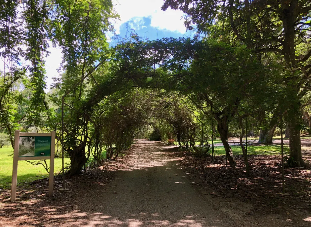 Jungle Gardens on Avery Island is one of the must-sees in Louisiana.