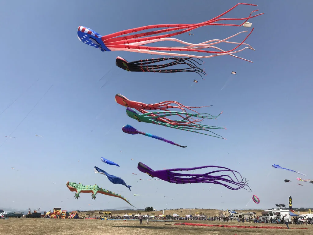 The kite festival in Berkeley is a great kids activity.