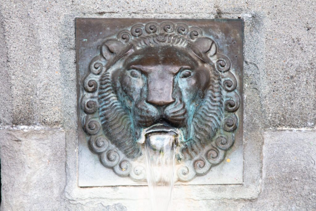 The lion monument is one of biggest attractions in Lucerne. Here is a closeup of a lion spouting water.