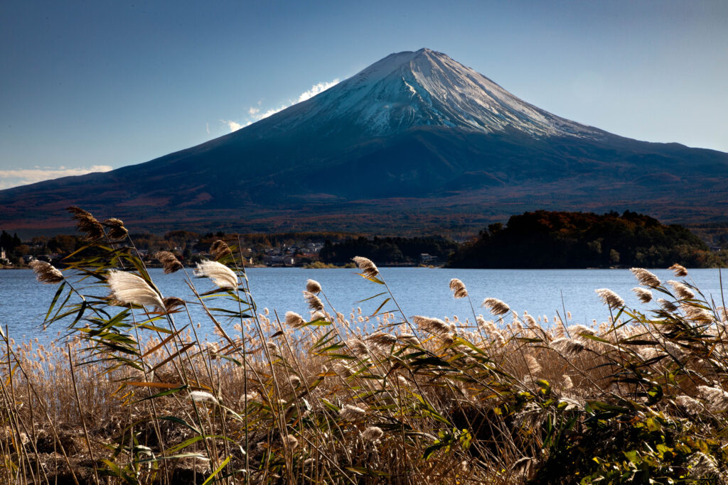 Mt. Fuji hovering over Kawaguchiko.