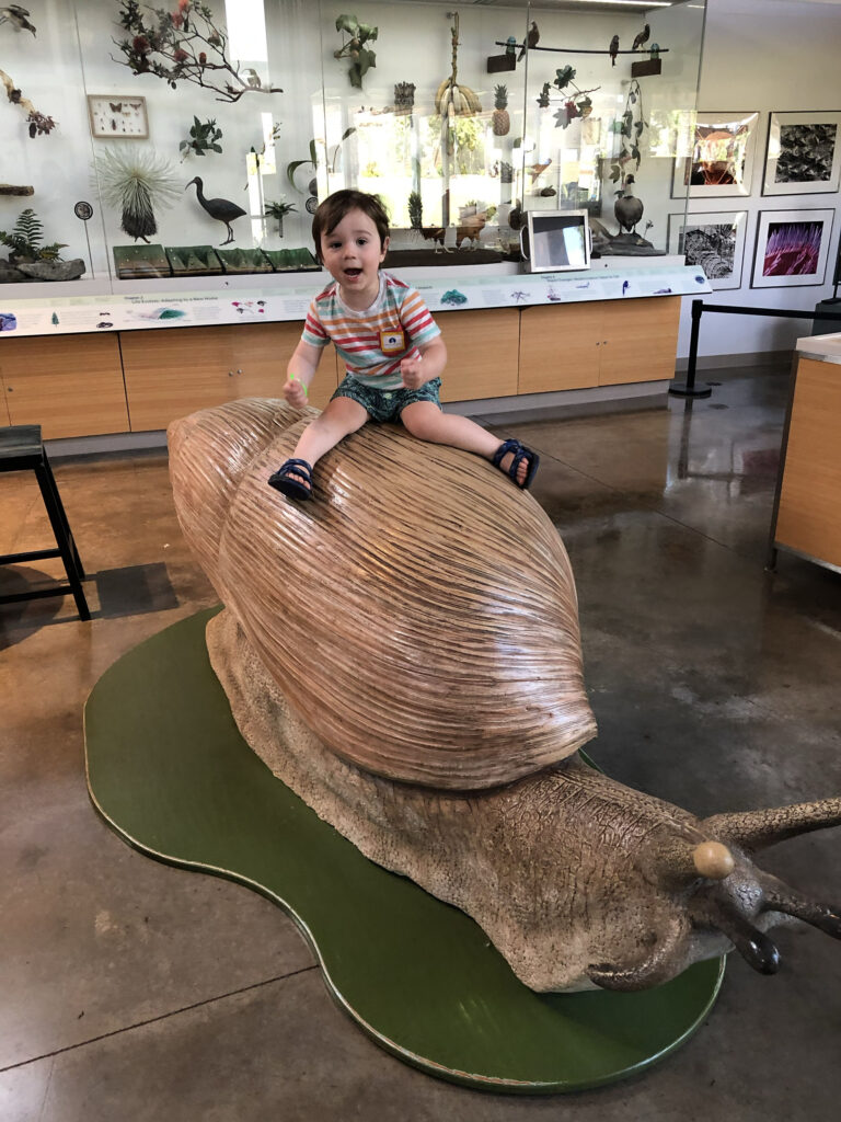 Take those silly photos of your kids, like riding a snail in Hawaii.