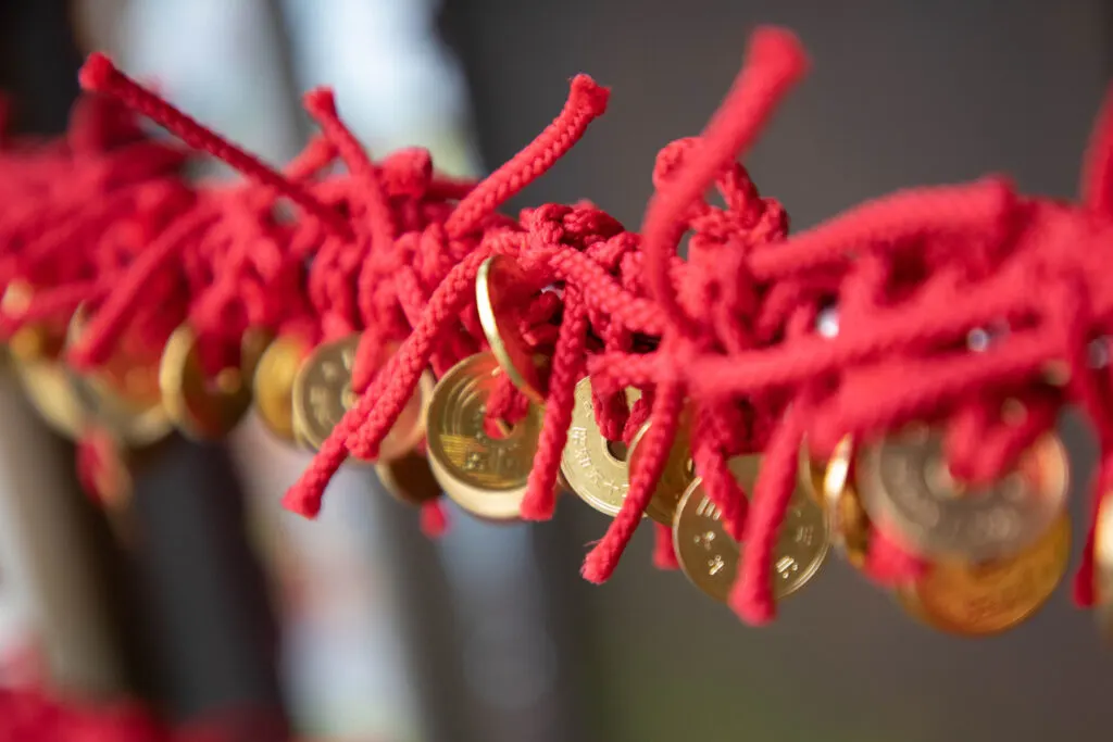 Coins strung on a rope at Yakouin Temple on Mt. Takao.