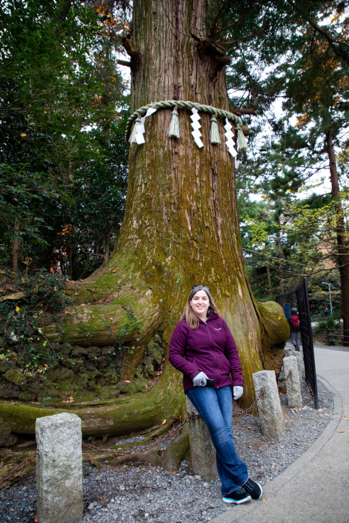 Devon poses in front of the famous and sacred Octopus cedar tree, along the Omesando path.