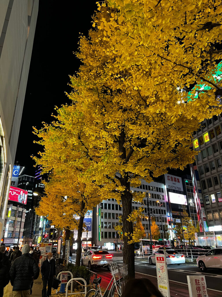 Tokyo is a fantastic destination with lots of things to see, do, and eat. We love the gingko lined streets, especially in the fall.