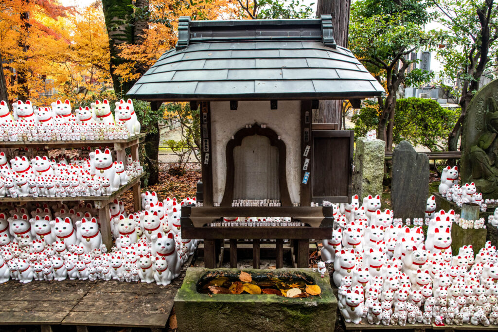 Gotokuji Cat temple is one of the best things to visit in Tokyo.